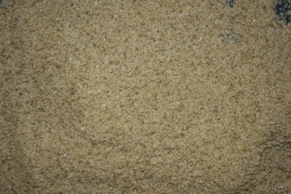 Selleriesalz 100 g – Bild 2