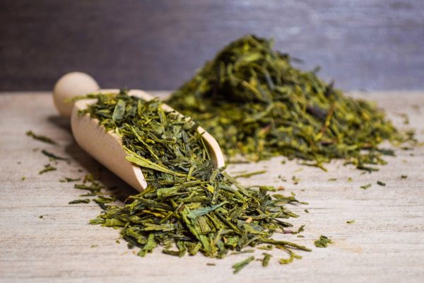 Sencha Tee 500 g
