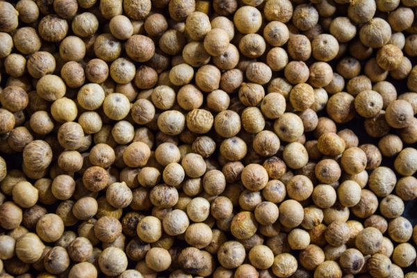 Kampot Pfefferkörner weiß aus Kambodscha 40 g – Bild 2